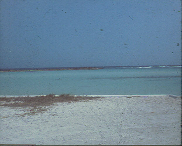 1976Baby Lagoon 2.JPG