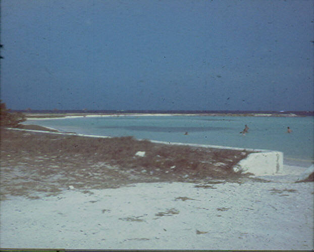 1976Baby Lagoon4.JPG