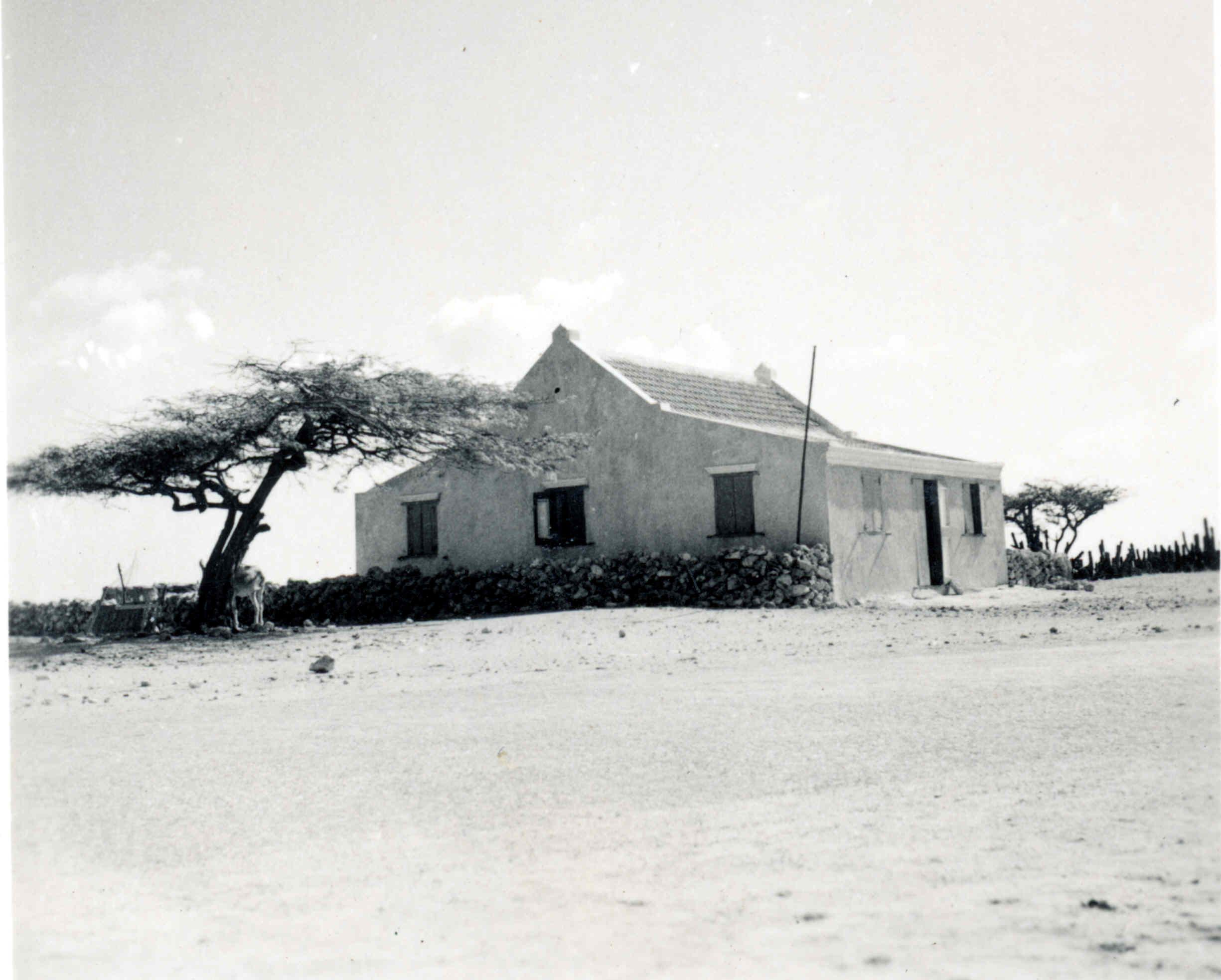 Aruba Houses