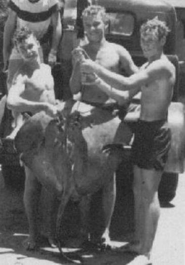 JIM, AL AND STAN NORCOM WITH STINGRAY 1953jpg.jpg