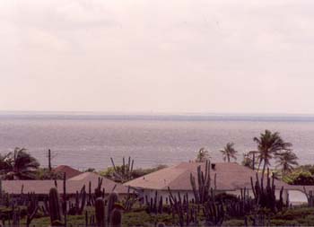 Aruba 2005 Venezuelan Shoreline